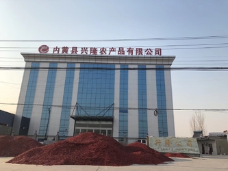 Κίνα Neihuang Xinglong Agricultural Products Co. Ltd Εταιρικό Προφίλ