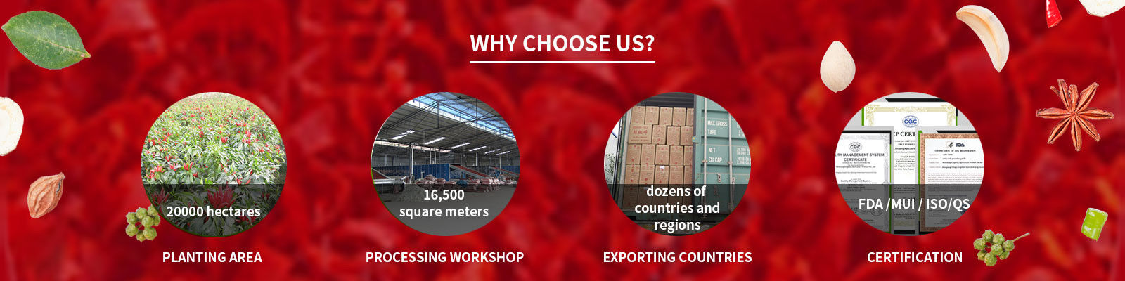 Σκόνη πιπεριών τσίλι