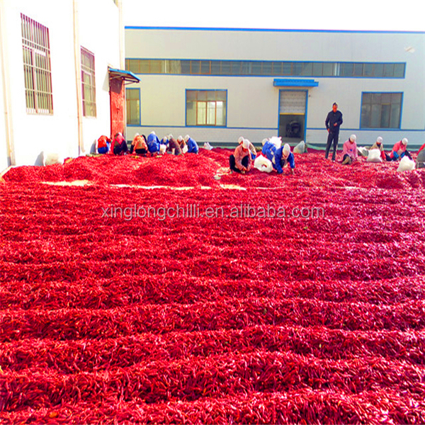 Προδιαγραφή του καυτού τσίλι Tianjin πώλησης πικάντικου κόκκινου