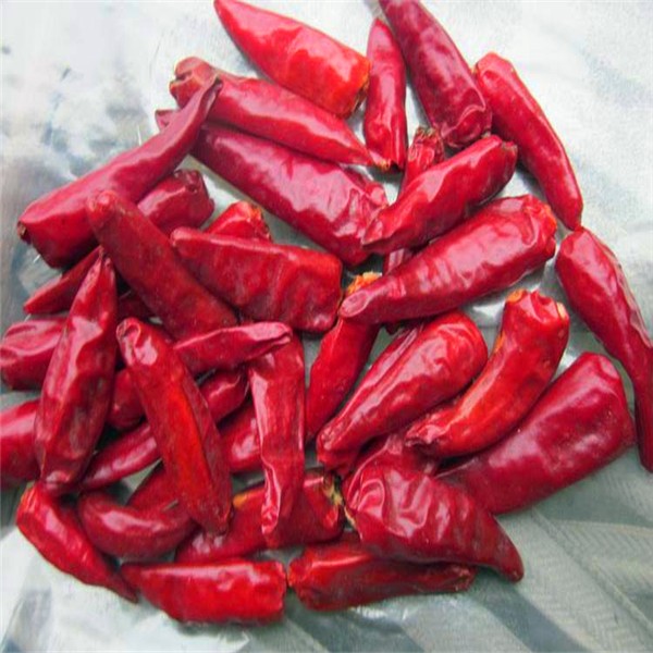 Κινεζικό καλύτερο καυτό κόκκινο πιπέρι τσίλι ποιοτικού ξηρό sanyng