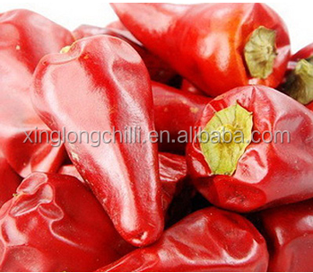 Sichuan τιμών εργοστασίων τσίλι κόκκινων πιπεριών σφαιρών
