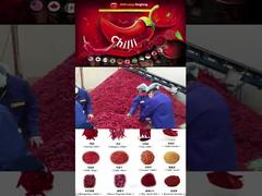 Μπιφτέκι Φακόρι 03