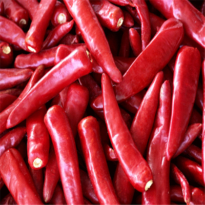 Μηά πρόσθετα ξηρά Chilis πικάντικα αφυδατωμένα καυτά πιπέρια Erjingtiao