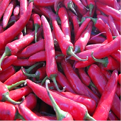 Μηά πρόσθετα ξηρά Chilis πικάντικα αφυδατωμένα καυτά πιπέρια Erjingtiao
