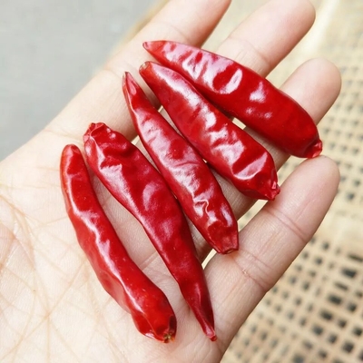 Μικρά κόκκινα τσίλι 100g Tianjin με την πικάντικη γεύση