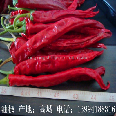 Μακροχρόνια ξηρά Erjingtiao πιπεριών θρεπτικά οφέλη για την υγεία γούστου Chilis εύγευστα άκαυλα