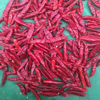 1.5cm Premium Red Chilli Ring Package 1-20KG/CTN Σπόροι 0-35%