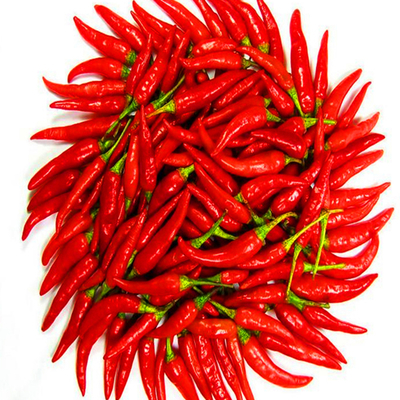 4-7 εκατοστά Ξηρές κόκκινες πιπεριές χωρίς στέλεχος 90000 SHU με ισχυρή πικάντικη γεύση πιπεριών