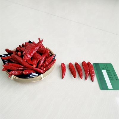 Μικρές αφυδατωμένες καυτές πιπεριές για μακροχρόνια πικάντικη γεύση 4-14 εκατοστά