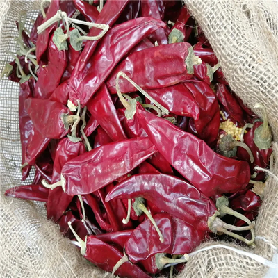 Αξία Α Στερεωμένο Guajillo Chili Κόκκινο Χωρίς Στέλο γλυκό πιπέρι