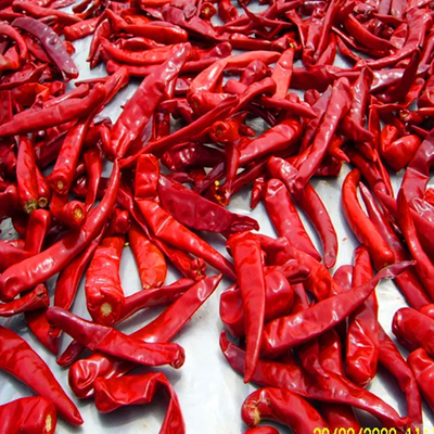 10 kg μονάδα βάρους Τσίλι με περιεκτικότητα σε υγρασία 12% μέγιστη