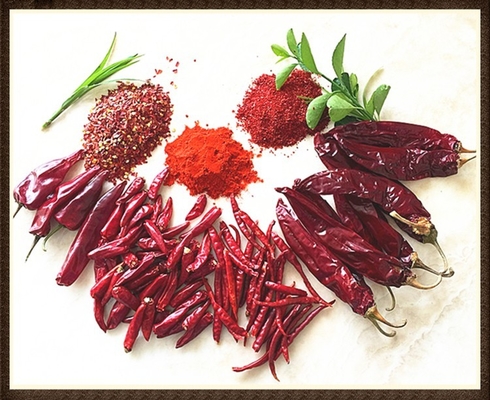 υγρασία 8%-12% Στερεωμένο Guajillo Chili Κόκκινο Όλο / Stick