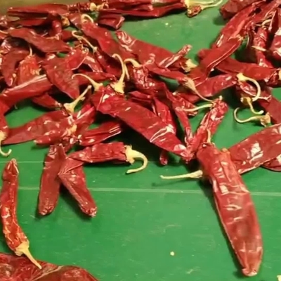 Ένα μόνο βότανο και μπαχαρικό σε ξηρή πιπεριά για τις επιχειρηματικές σας ανάγκες