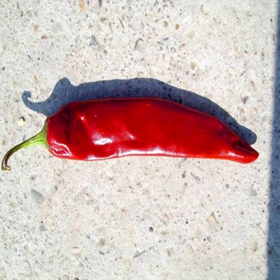 500SHU ολόκληρο / κόλλα Guajillo Chili με μέγιστη ακαθαρσία 0,1% για σούπες