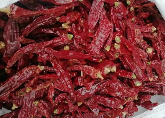 Natural Red No Additive Paprika Chilli Dried Red Chilli Peppers 10kg/CTN for Food Cooking