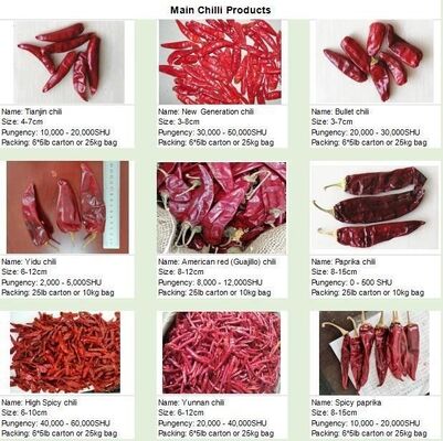 Crispy Chinese Dried Chili Peppers Spicy Flavor No Allergen Information Excellent for Food Industry and Culinary Recipes