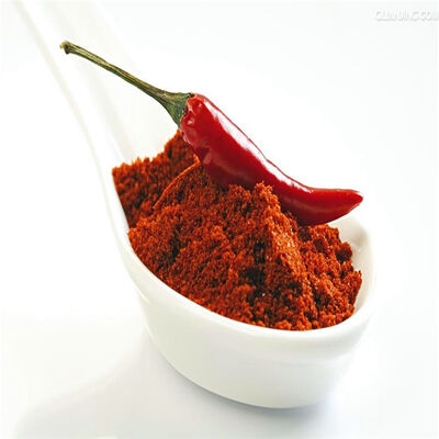 Premium 80-220 ASTA Chilli Pepper Powder 1000 Grams with Negative Salmonella for Meat Processing and Spice Mixes