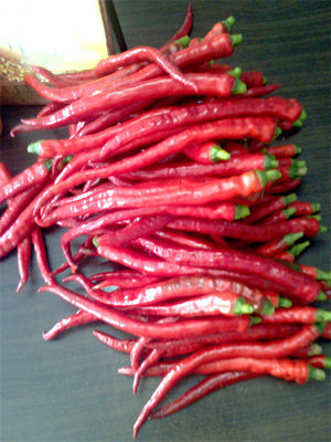 ξηρά Chilis μέτρια χρήση κολλών φασολιών τσίλι θερμότητας 8000-12000shu Erjingtiao