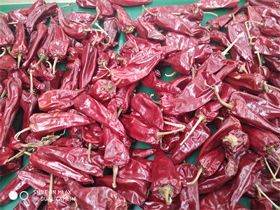 12CM ξηρά κόκκινα τσίλι ολόκληρα πιπέρια τσίλι Xinglong 10KG ξηρά ασιατικά