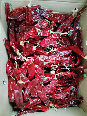 Αφυδατώστε τους γλυκούς πάπρικας λοβούς 140 τσίλι πιπεριών μη εκτεθειμένους σε ακτινοβολία ξηρούς κόκκινους Atsa