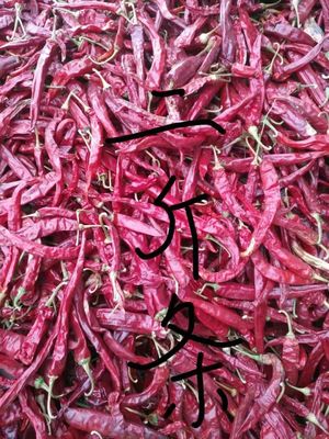 Άκαυλο Erjingtiao ξηρό Chilis αποστείρωσε ολόκληρα τα τσίλι πικάντικα
