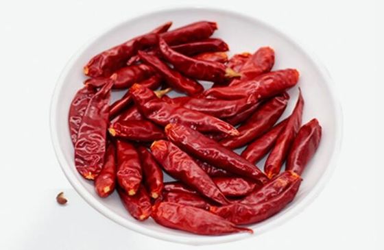 Κινεζικό ξηρό κόκκινο ξηρό τσίλι μηδενικά Chaotian Szechuan πιπεριών τσίλι πρόσθετη ουσία