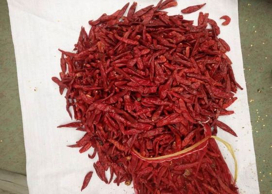 Μέσα πικάντικα κόκκινα τσίλι Tianjin ένα επίπεδο 8000 Scoville που στεγνώνει τα πιπέρια
