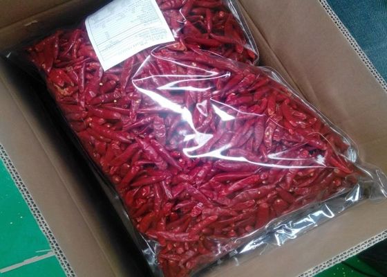 Η εδώδιμη κόκκινη Chiles νέα συγκομιδή Tianjin προήλθε ξηρά πιπέρια τσίλι Arbol