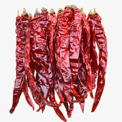 Ξηραμένη από τον ήλιο Xian υγρασία πιπεριών 8% τσίλι τσίλι SHU8000 ξηρά κόκκινη