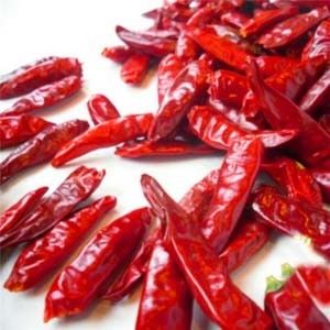 Κινεζικό ξηρό κόκκινο ξηρό τσίλι μηδενικά Chaotian Szechuan πιπεριών τσίλι πρόσθετη ουσία