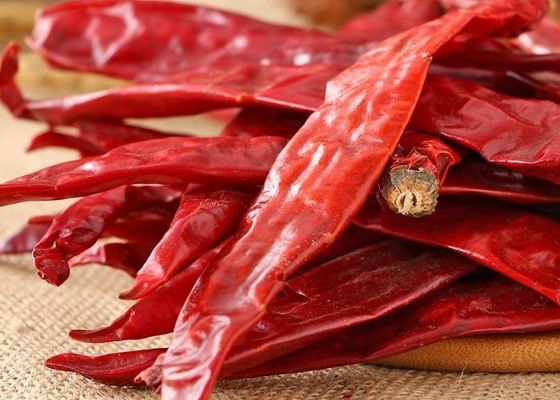 Ξηρό κόκκινο σύνολο πιπεριών τσίλι Erjingtiao που αφυδατώνει την ισχυρή πλούσια βιταμίνη γεύσης
