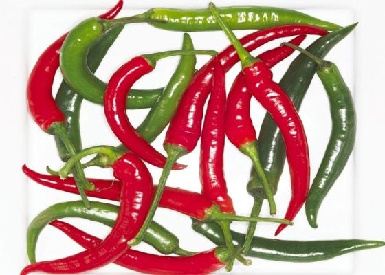 Κόκκινο Erjingtiao ξηρό Chilis πικάντικο προήλθε αφυδατώνοντας πιπέρια τσίλι