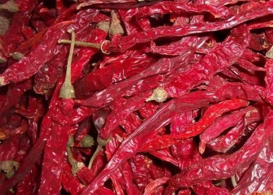 Όλες οι ξηρές κόκκινες πιπεριές με μη στελέχη προσθέτουν λίγη καρύκευση στα γεύματα σας