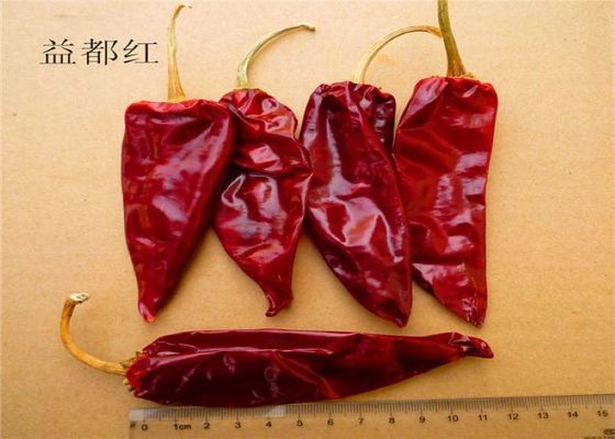 12cm ξηρά πικάντικη υγρασία λοβών 12% τσίλι πιπεριών πικάντικη ξηρά κόκκινη