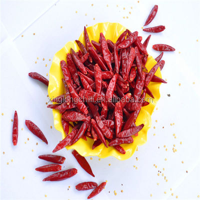 Τα μαριναρίσματα χρησιμοποιούν το ξηρό τσίλι 7cm Guajillo ξηραμένα από τον ήλιο κόκκινα πιπέρια μη πικάντικα