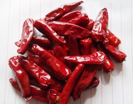 Εδώδιμη σκόνη 5 πιπεριών τσίλι νιφάδες κόκκινων πιπεριών PPB για Kimchi