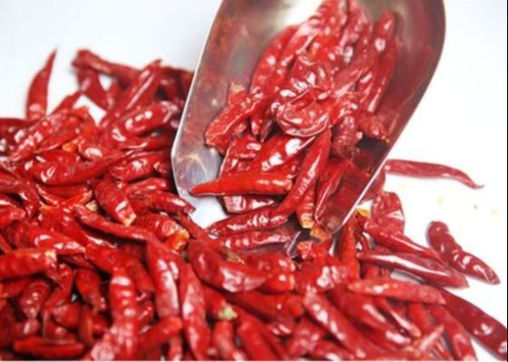 Μαγειρικά κόκκινα τσίλι Tianjin ένα ξηρό κόκκινο βαθμού - καυτά πιπέρια τσίλι