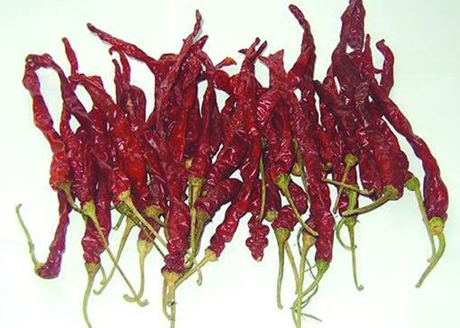 Ξηραμένη από τον ήλιο Xian υγρασία πιπεριών 8% τσίλι τσίλι SHU8000 ξηρά κόκκινη