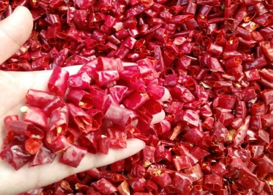 Τα τσίλι Tianjin χτυπούν το αφυδατωμένο κόκκινο δαχτυλίδι φύσης του πιπεριού τσίλι πυρκαγιάς