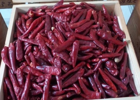 Έξοχος καυτός Organic de Arbol Χιλή Tianjin ξηρός πικάντικος πιπεριών 50000SHU