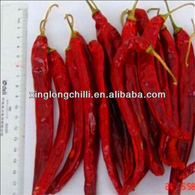 Καλά γούστου Dried Chili de Arbol Mild ξηρά κόκκινα τσίλι SHU 5000