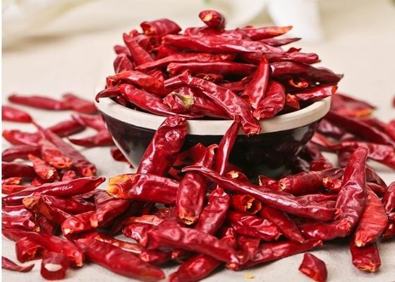 Στεγνωμένη Tianjin κόκκινη τσίλι υγρασία πιπεριών 12% τσίλι φραγμών κινεζική ξηρά