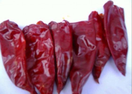 HACCP ξηρά πάπρικας άκαυλα ξηρά ολόκληρα κόκκινα τσίλι χορταριών πιπεριών ενιαία