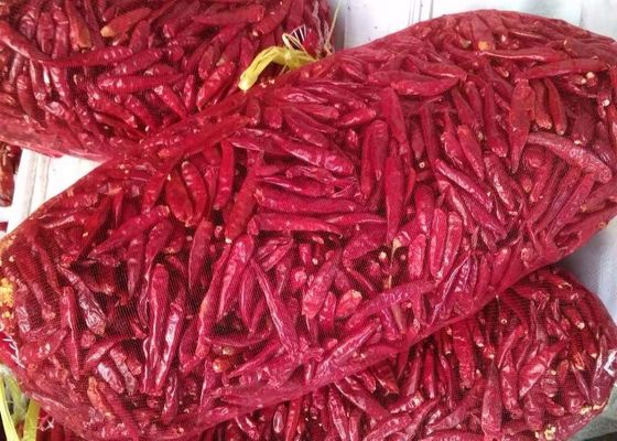 SHU 12000 πικάντικοι 5000SHU ξηροί κόκκινοι Χιλή Tianjin κόκκινοι λοβοί τσίλι