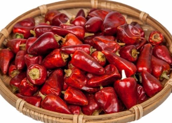 Άκαυλα κόκκινα αφυδατωμένα 25000SHU ξηρά τσίλι πικάντικα πιπέρια σφαιρών