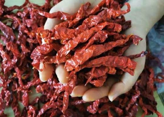 Πικάντικα τσίλι 15CM ξηραμένα από τον ήλιο κόκκινα πιπέρια 10000SHU Xian αρώματος