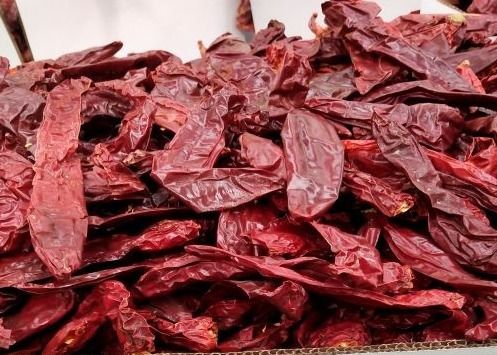 Ξηρό Guajillo Chiles μεγάλο μέγεθος τσίλι Καλιφόρνιας που επιλέγεται με το χέρι το φυσικό κόκκινο