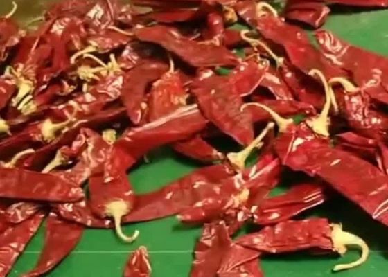 8000SHU κόκκινη ΑΓΓΕΛΙΑ Guajillo Chilis κερασιών που ξεραίνει τη μορφή ραβδιών λοβών της Χιλής Guajillo