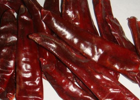 Μέσα καυτά ξηρά Guajillo τσίλι πιπέρια της Χιλής φύσης κόκκινα