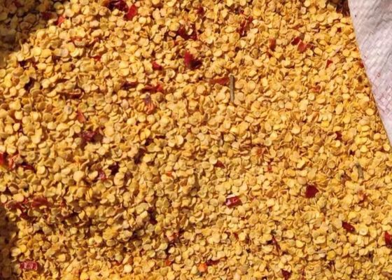 Κόκκων ξηροί τσίλι σπόροι HACCP πιπεριών σπόρων 10PPB 15000SHU πικάντικοι